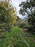  ( - HAY-F-005557)  @11 [ ] by (2023) Mandy Hackney Fungal Diversity Survey