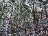  ( - HAY-F-007863)  @11 [ ] by-nc (2023) Dean Lyons Fungal Diversity Survey