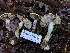  ( - HAY-F-007852)  @11 [ ] by-nc (2023) Dean Lyons Fungal Diversity Survey
