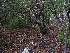 ( - HAY-F-004844)  @11 [ ] by-nc (2023) Warren Cardimona Fungal Diversity Survey