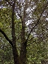  ( - HAY-F-008324)  @11 [ ] by-nc (2023) Warren Cardimona Fungal Diversity Survey