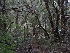  ( - HAY-F-004856)  @11 [ ] by-nc (2023) Warren Cardimona Fungal Diversity Survey