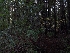  ( - HAY-F-004853)  @11 [ ] by-nc (2023) Warren Cardimona Fungal Diversity Survey