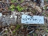  ( - HAY-F-004861)  @11 [ ] by-nc (2023) Warren Cardimona Fungal Diversity Survey
