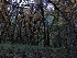  ( - HAY-F-005328)  @11 [ ] by-nc (2023) Warren Cardimona Fungal Diversity Survey