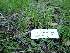  ( - HAY-F-004267)  @11 [ ] by-nc (2023) Jaren Hockert Fungal Diversity Survey
