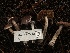  ( - HAY-F-005353)  @11 [ ] by-nc (2023) Dean Lyons Fungal Diversity Survey