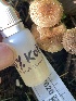  ( - HAY-F-007620)  @11 [ ] by-nc (2023) Damon Tighe Fungal Diversity Survey