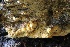  ( - HAY-F-008344)  @11 [ ] by-nc (2023) Taye Bright Fungal Diversity Survey