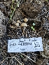 ( - HAY-F-006760)  @11 [ ] by (2023) Mandy Hackney Fungal Diversity Survey