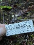  ( - HAY-F-007654)  @11 [ ] by-nc (2023) Damon Tighe Fungal Diversity Survey