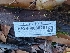  ( - HAY-F-008029)  @11 [ ] by-nc (2023) Warren Cardimona Fungal Diversity Survey