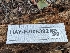  ( - HAY-F-008322)  @11 [ ] by-nc (2023) Warren Cardimona Fungal Diversity Survey