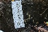  ( - HAY-F-008384)  @11 [ ] by-nc (2023) Taye Bright Fungal Diversity Survey
