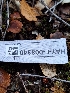  ( - HAY-F-008340)  @11 [ ] by-nc (2023) Sadie Hickey Fungal Diversity Survey