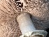  ( - HAY-F-007719)  @11 [ ] by-nc (2023) Damon Tighe Fungal Diversity Survey