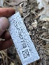  ( - HAY-F-007753)  @11 [ ] by-nc (2023) Damon Tighe Fungal Diversity Survey
