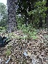  ( - HAY-F-007766)  @11 [ ] by-nc (2023) Damon Tighe Fungal Diversity Survey