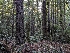  ( - HAY-F-008175)  @11 [ ] by-nc (2023) Warren Cardimona Fungal Diversity Survey