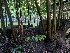  ( - HAY-F-008172)  @11 [ ] by-nc (2023) Warren Cardimona Fungal Diversity Survey