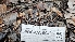  ( - FDS-CA-00405)  @11 [ ] by-nc (2023) Thea Chesney Fungal Diversity Survey