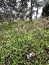  ( - FDS-CA-00726)  @11 [ ] by-nc (2024) Taye Bright Fungal Diversity Survey
