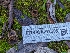  ( - FDS-CA-01355)  @11 [ ] by-nc (2024) Stu Pickell Fungal Diversity Survey
