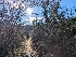  ( - FDS-CA-01376)  @11 [ ] by-nc (2024) Stu Pickell Fungal Diversity Survey