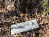  ( - FDS-CA-01380)  @11 [ ] by-nc (2024) Stu Pickell Fungal Diversity Survey