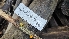  ( - FDS-CA-00432)  @11 [ ] by-nc (2024) Thea Chesney Fungal Diversity Survey