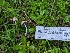  ( - FDS-CA-01428)  @11 [ ] by-nc (2024) Stu Pickell Fungal Diversity Survey