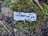  ( - FDS-CA-01433)  @11 [ ] by-nc (2024) Stu Pickell Fungal Diversity Survey