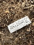  ( - FDS-CA-01091)  @11 [ ] by-nc (2024) Bat Vardeh Fungal Diversity Survey