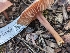  ( - FDS-CA-01455)  @11 [ ] by-nc (2024) Stu Pickell Fungal Diversity Survey