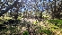  ( - FDS-CA-03404)  @11 [ ] by-nc (2024) Fresno Mycology Society Fungal Diversity Survey