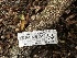  ( - FDS-CA-01510)  @11 [ ] c (2024) Rudy Diaz Fungal Diversity Survey
