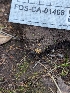  ( - FDS-CA-01468)  @11 [ ] by-nc (2024) Stu Pickell Fungal Diversity Survey