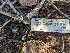  ( - FDS-CA-01469)  @11 [ ] by-nc (2024) Stu Pickell Fungal Diversity Survey