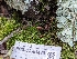  ( - FDS-CA-01478)  @11 [ ] by-nc (2024) Stu Pickell Fungal Diversity Survey
