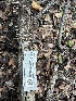  ( - FDS-CA-01040)  @11 [ ] by-nc (2024) Bat Vardeh Fungal Diversity Survey