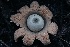  ( - HAY-F-004733)  @11 [ ] by-nc (2023) Taye Bright Fungal Diversity Survey