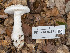  ( - FDS-CA-03671)  @11 [ ] by-nc (2024) Stu Pickell Fungal Diversity Survey