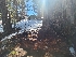  ( - FDS-CA-03500)  @11 [ ] by-nc (2024) Fresno Mycology Society Fungal Diversity Survey