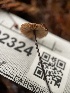  ( - FDS-CA-02324)  @11 [ ] by-nc (2024) Jaren Hockert Fungal Diversity Survey