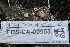  ( - FDS-CA-00953)  @11 [ ] by-nc (2024) Taye Bright Fungal Diversity Survey