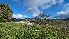  ( - FDS-CA-01768)  @11 [ ] c (2024) Michelle C. Torres-Grant Fungal Diversity Survey