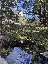  ( - FDS-CA-00049)  @11 [ ] by-nc (2024) Dean Lyons Fungal Diversity Survey