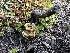  ( - FDS-CA-02067)  @11 [ ] by-nc (2024) Bat Vardeh Fungal Diversity Survey