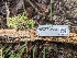  ( - FDS-CA-03849)  @11 [ ] by-nc (2024) Stu Pickell Fungal Diversity Survey