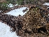  ( - FDS-CA-04210)  @11 [ ] by-nc (2024) Fresno Mycology Society Fungal Diversity Survey